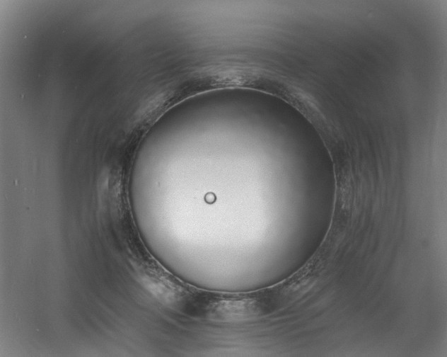 X0000060770314200511101221