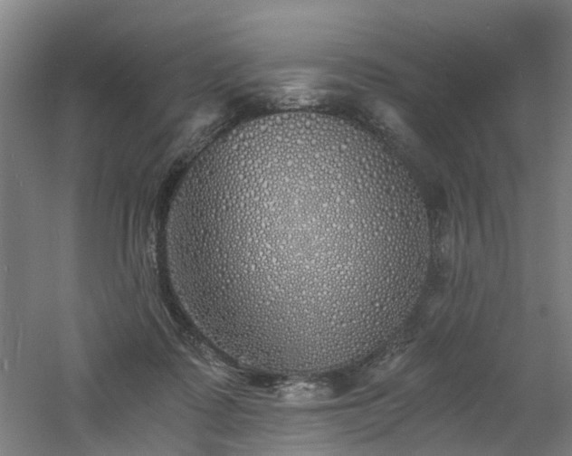 X0000060770315200511101221