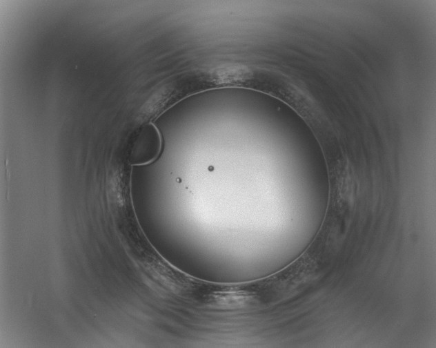 X0000060770316200511101221