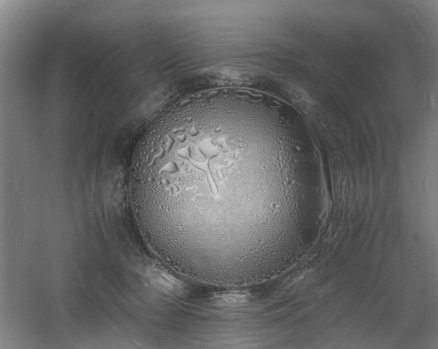 X0000060770318200511101221