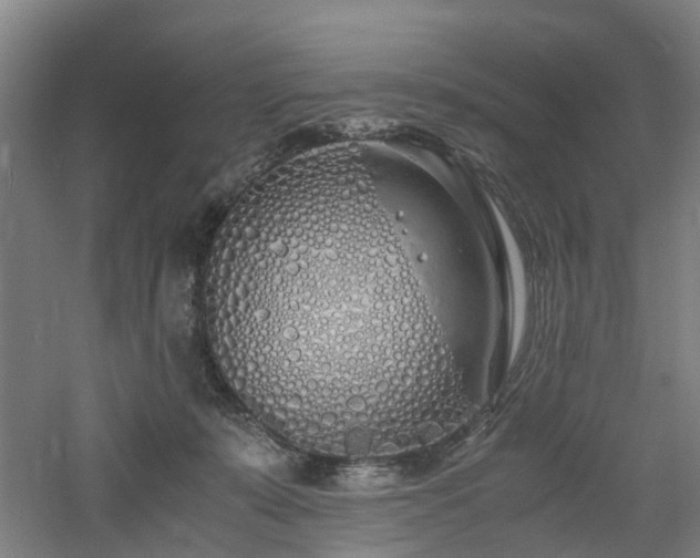 X0000060770319200511101221