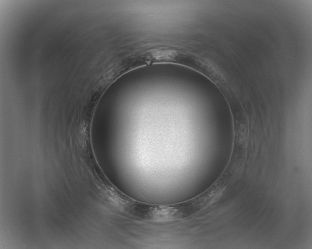 X0000060770321200511101221