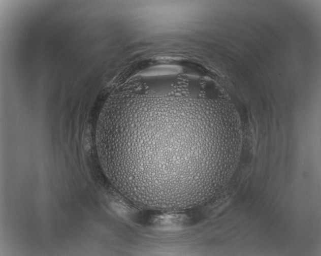 X0000060770323200511101221