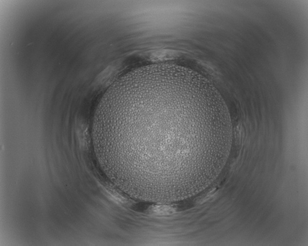 X0000060770327200511101221