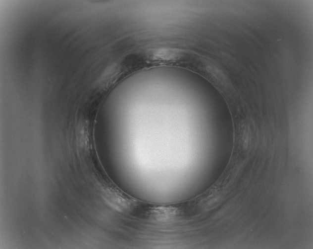 X0000060770328200511101221