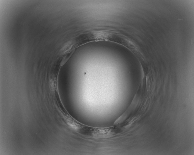 X0000060770329200511101221