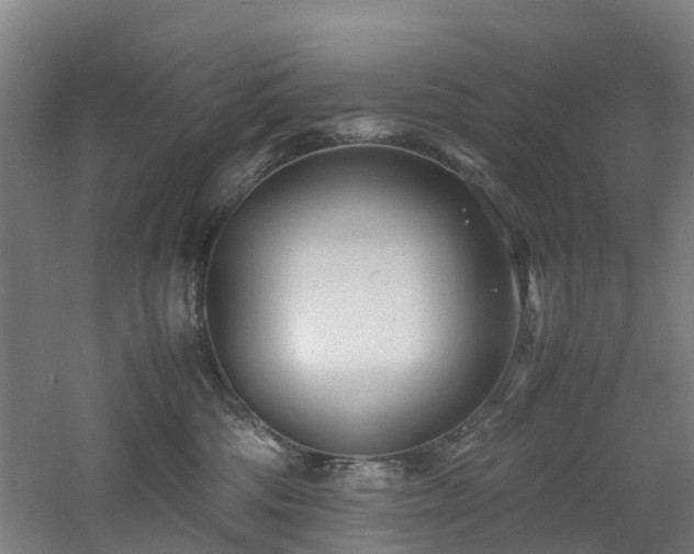 X0000060770330200511101221