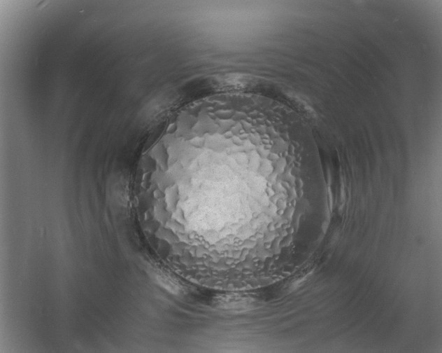 X0000060770331200511101221