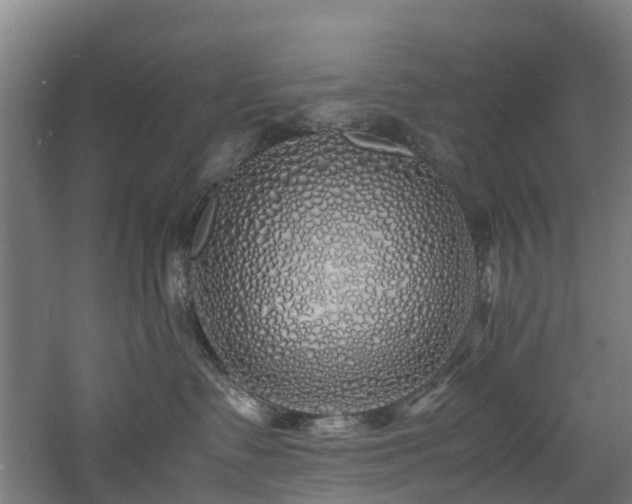 X0000060770335200511101220