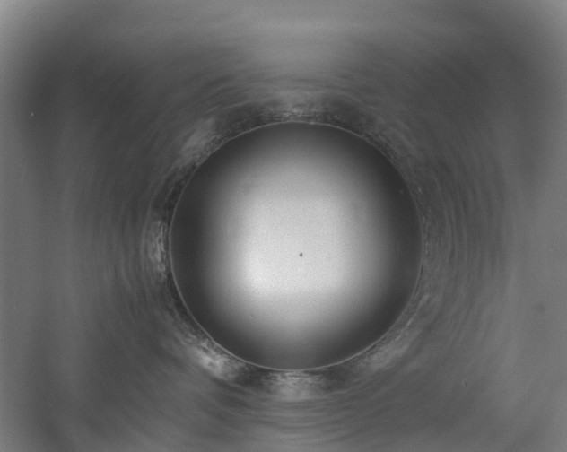 X0000060770336200511101220