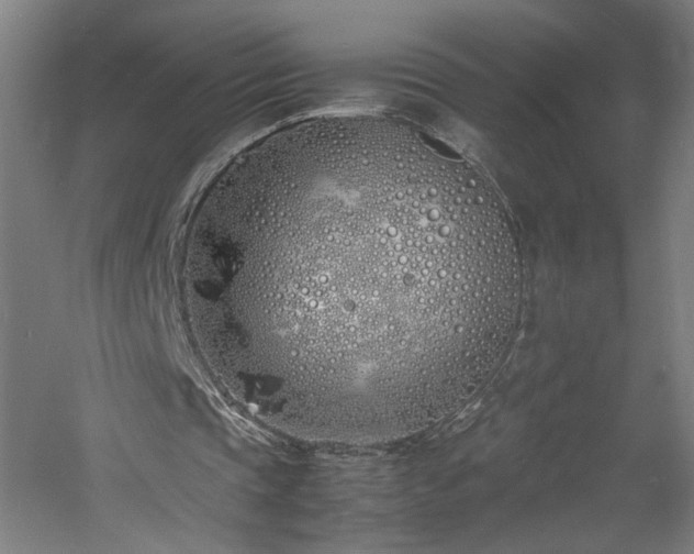 X0000060770337200511101220