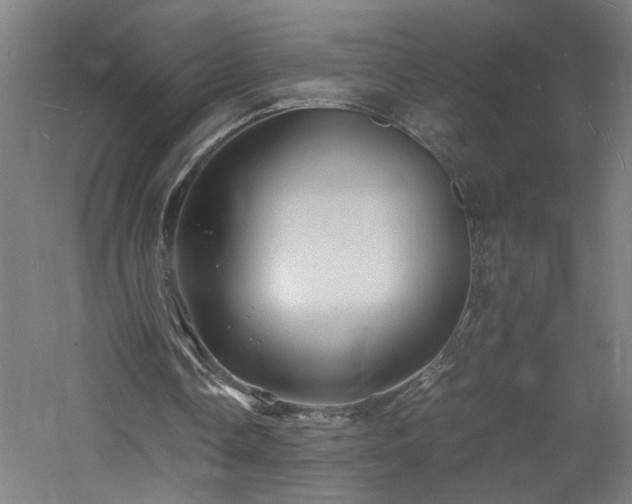 X0000060770338200511101220