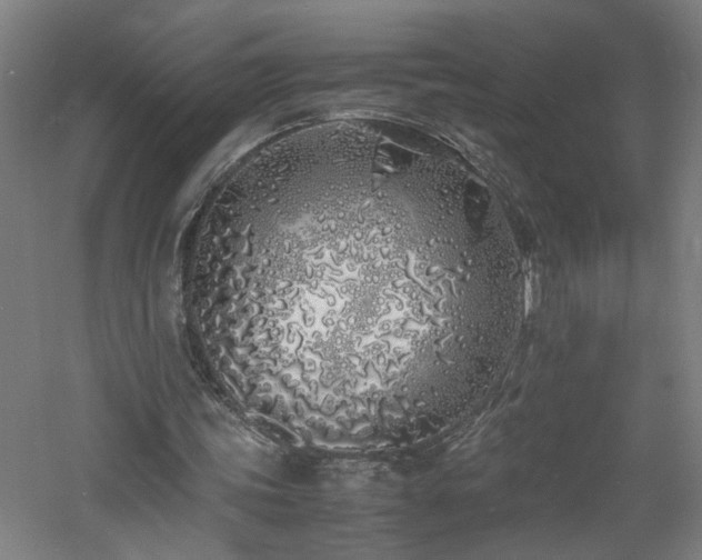 X0000060770339200511101220