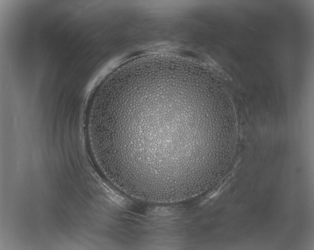 X0000060770341200511101220