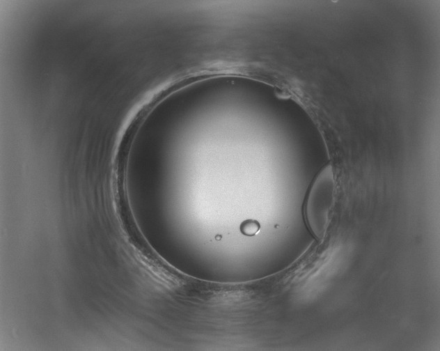 X0000060770342200511101220