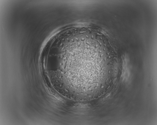 X0000060770343200511101220