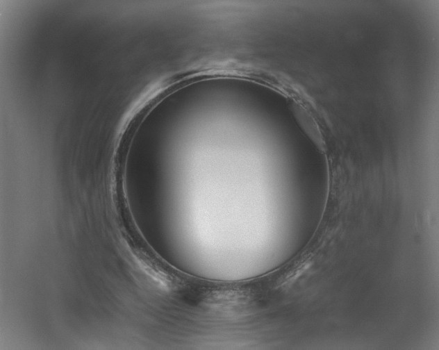 X0000060770344200511101220