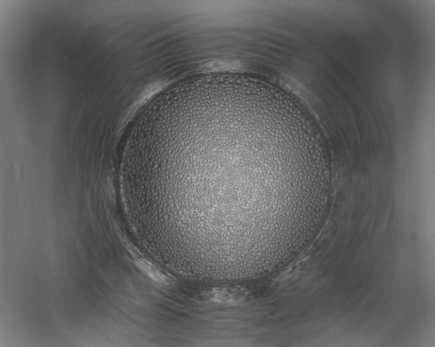 X0000060770345200511101220