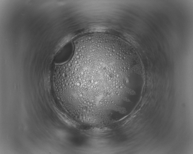 X0000060770346200511101220