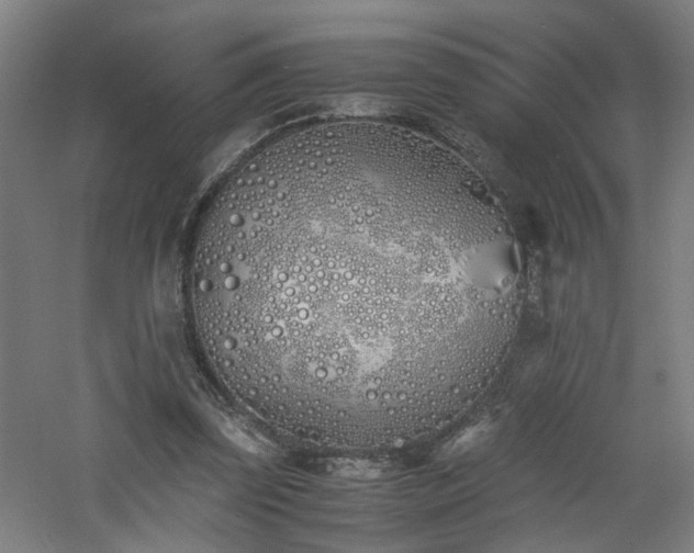 X0000060770347200511101220