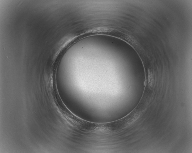 X0000060770348200511101220