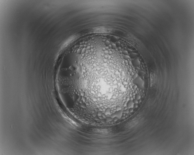 X0000060770349200511101220