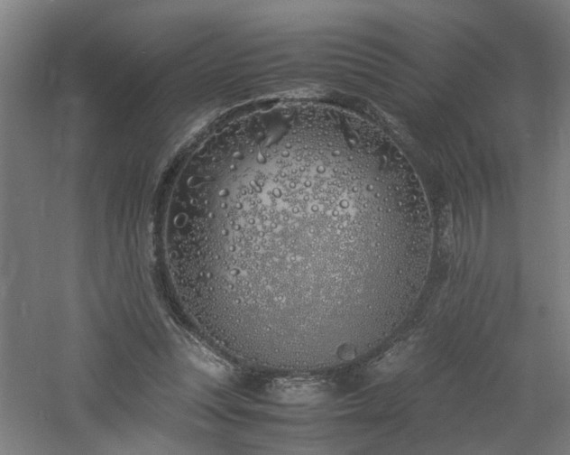 X0000060770351200511101220