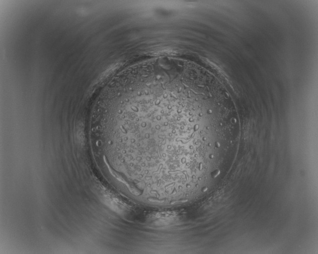 X0000060770353200511101220