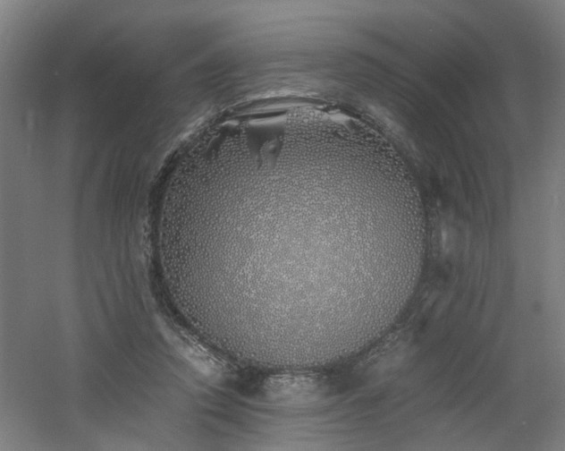 X0000060770354200511101220