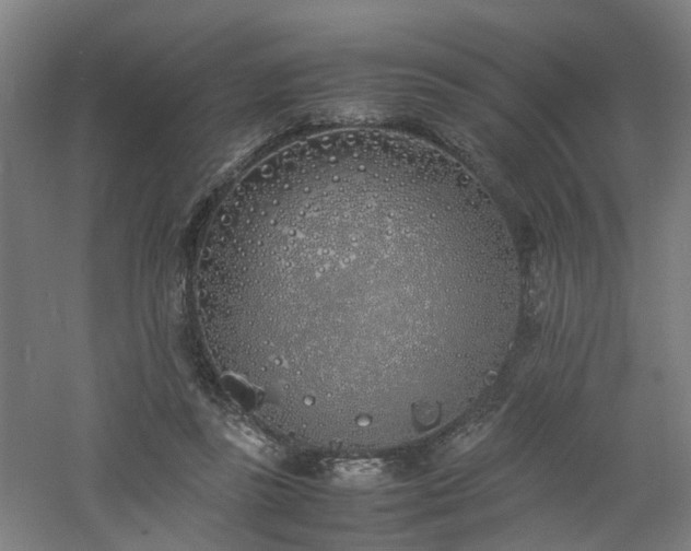 X0000060770355200511101220