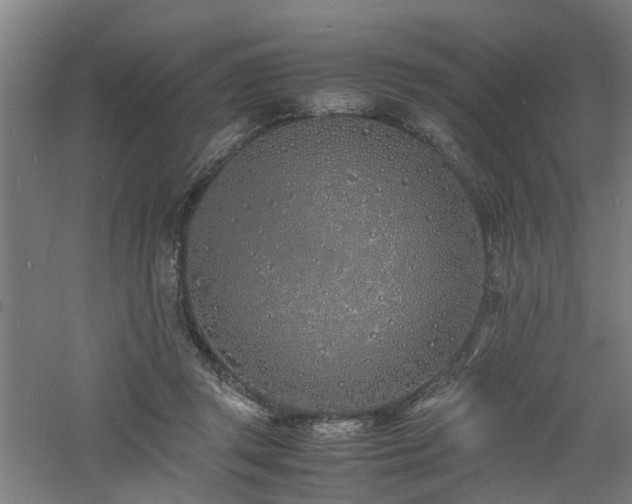 X0000060770357200511101220