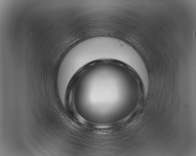 X0000060770359200511101220