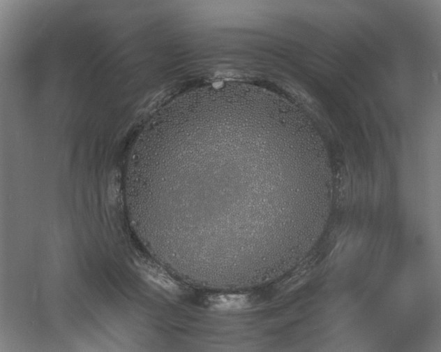 X0000060770361200511101220