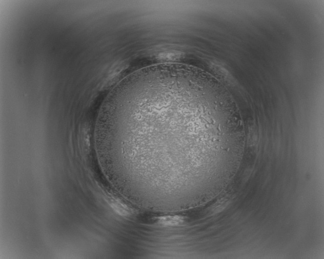 X0000060770363200511101220