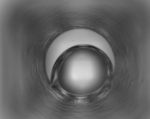 X0000060770365200511101220