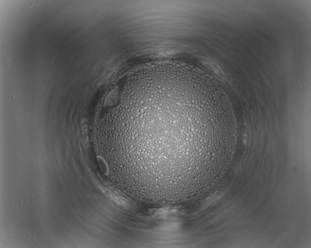 X0000060770366200511101220