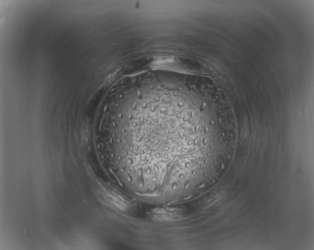 X0000060770367200511101220