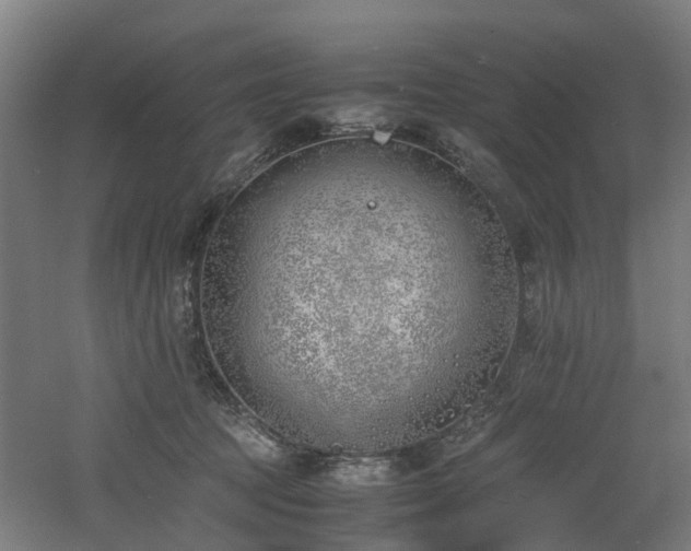 X0000060770369200511101220