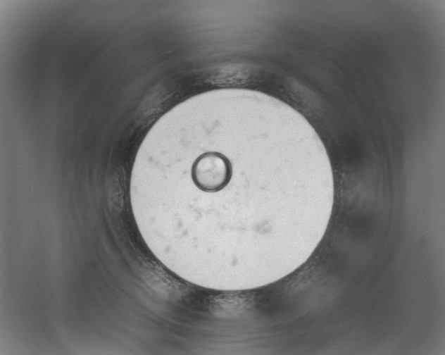 X0000060770370200511101220