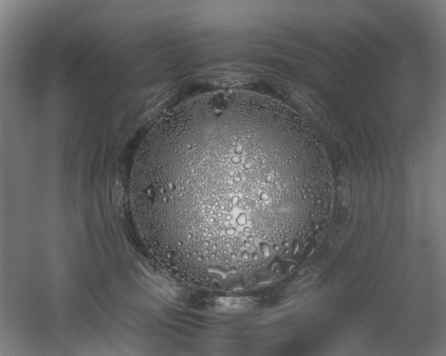 X0000060770371200511101220