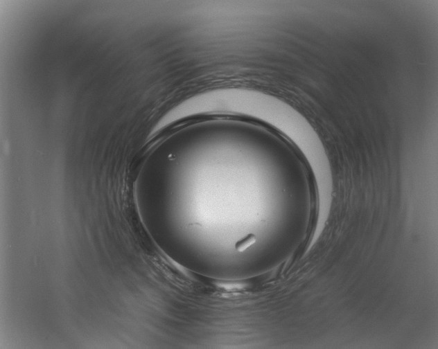 X0000060770372200511101220