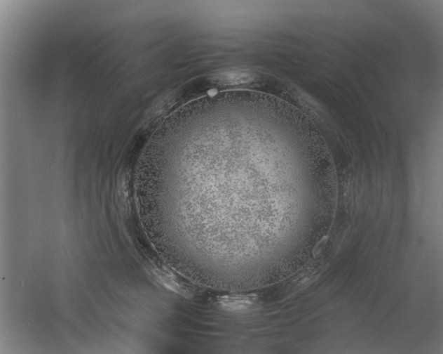 X0000060770373200511101220