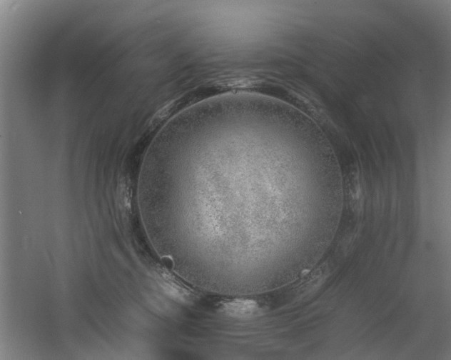 X0000060770374200511101220