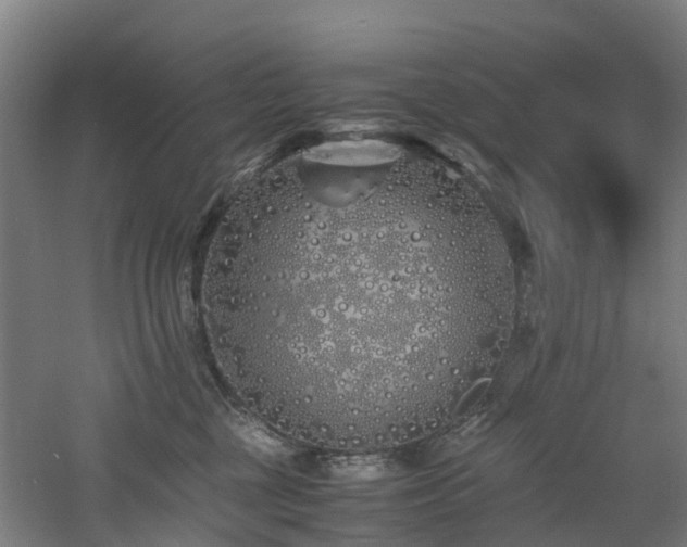 X0000060770377200511101220