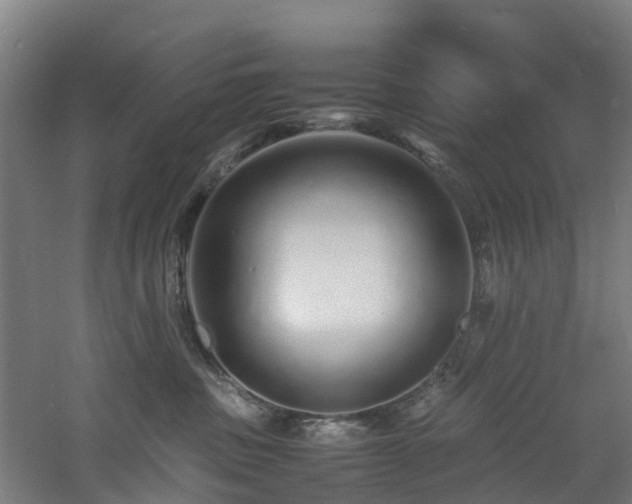 X0000060770379200511101220