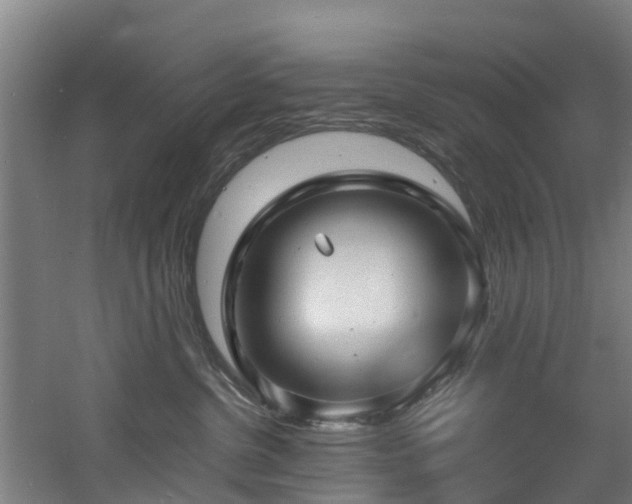 X0000060770380200511101220