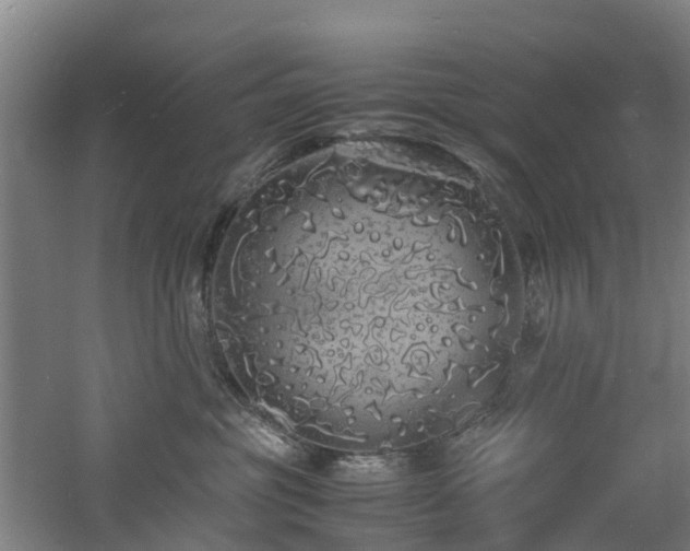 X0000060770381200511101220