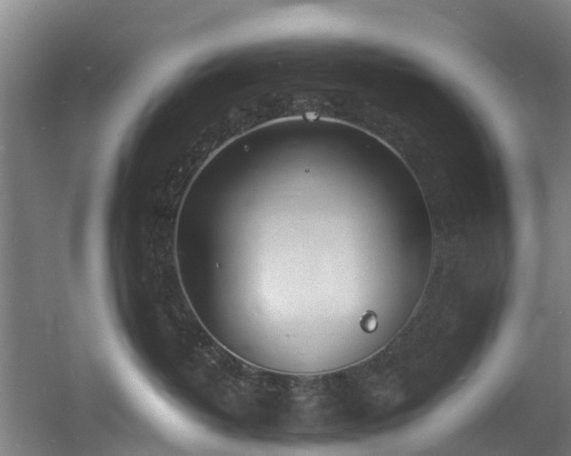 X0000060770382200511101220