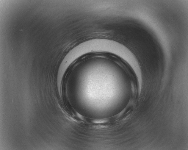 X0000060770383200511101220