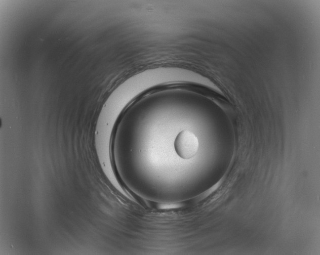 X0000060770384200511101220